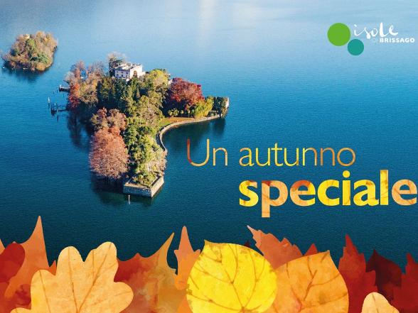 Un automne spécial